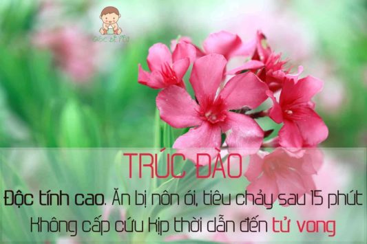 kinh nghiệm chăm sóc trẻ em