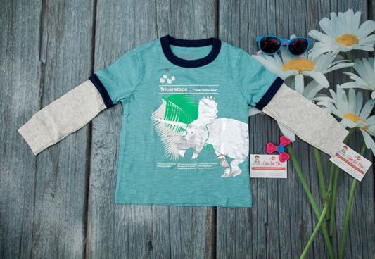 Quần áo trẻ em mùa đông 18 Áo thun bé trai Oshkosh xuất khẩu ATT-086