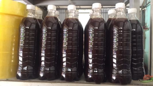 mật ong đắng thật sự có tốt