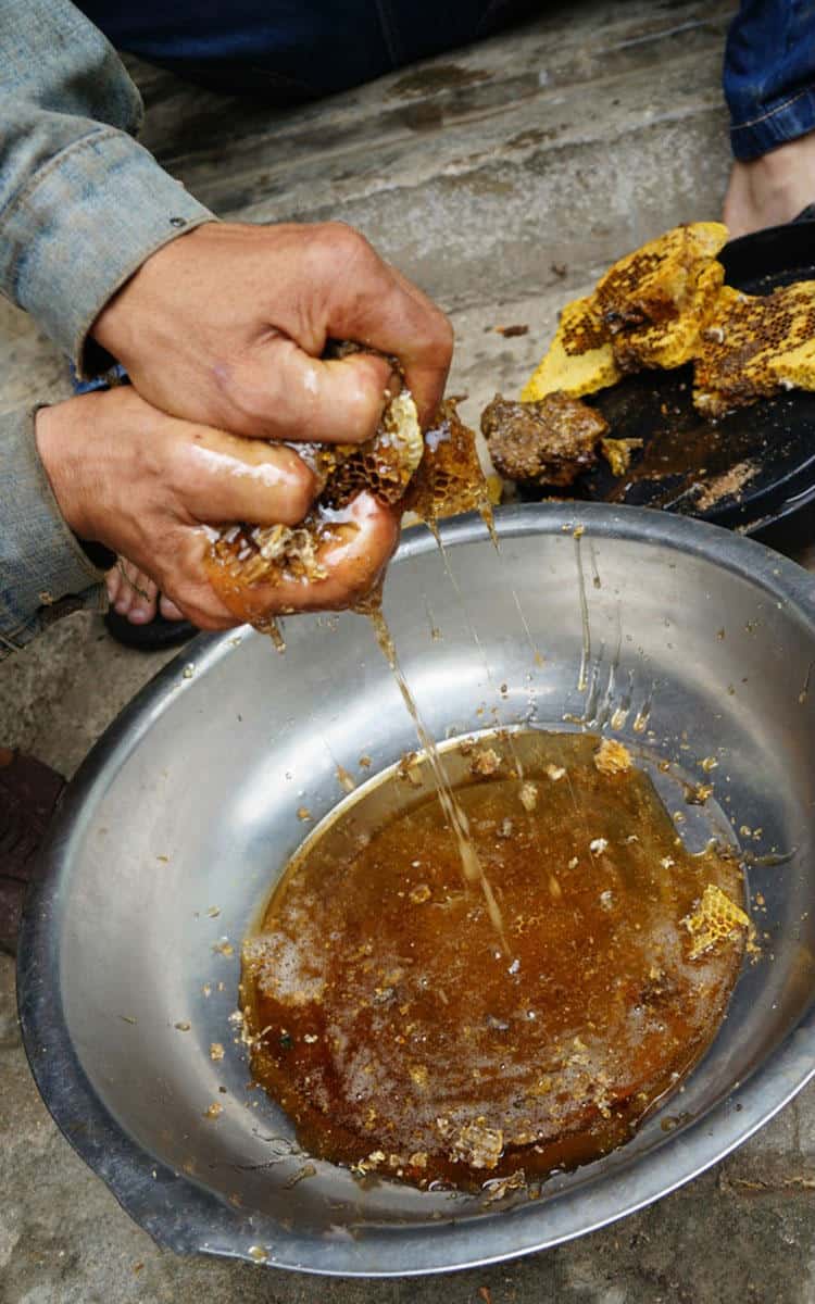 Mật ong nguyên chất mua ở đâu 