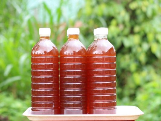 mật ong nào tốt nhất - mật ong nhãn