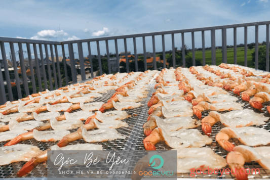 Tôm một nắng Phú Yên tại Sài Gòn