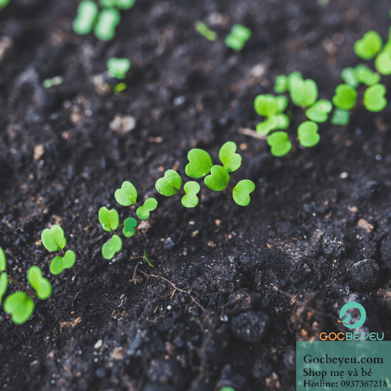 Góc Bé Yêu – Shop Bách Hóa Mẹ Và Bé Tại TPHCM