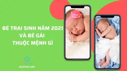 Bé trai và bé gái sinh năm 2021 mệnh gì