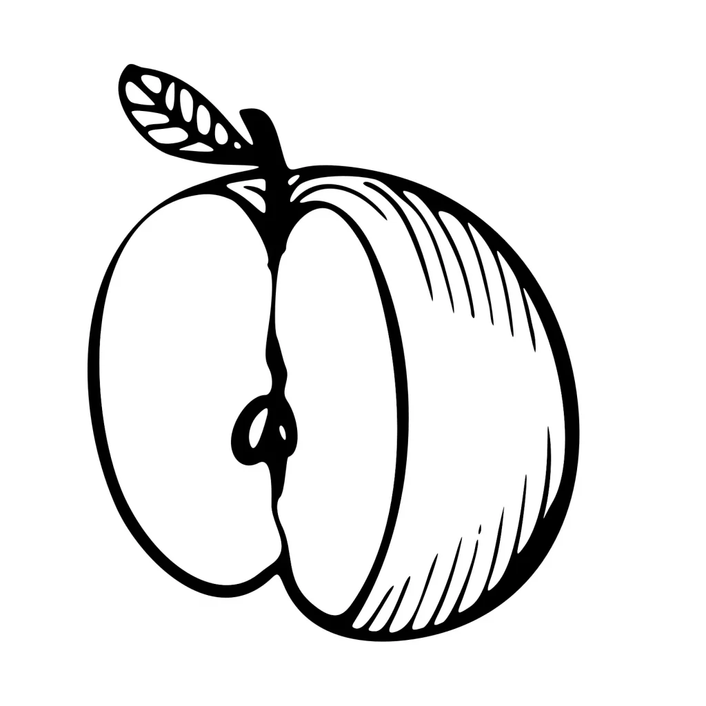 Chi tiết hơn 63 về hình trái táo tô màu mới nhất  cdgdbentreeduvn