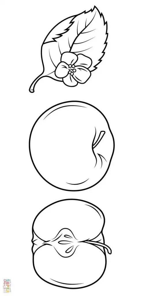 %TITLE % Góc Bé Yêu - Shop Bách Hóa Mẹ Và Bé Tại TPHCM