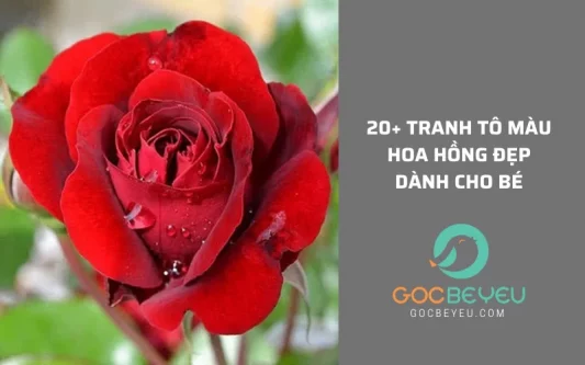 %TITLE % Góc Bé Yêu - Shop Bách Hóa Mẹ Và Bé Tại TPHCM