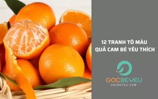 %TITLE % Góc Bé Yêu - Shop Bách Hóa Mẹ Và Bé Tại TPHCM